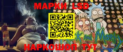 спайс Кингисепп