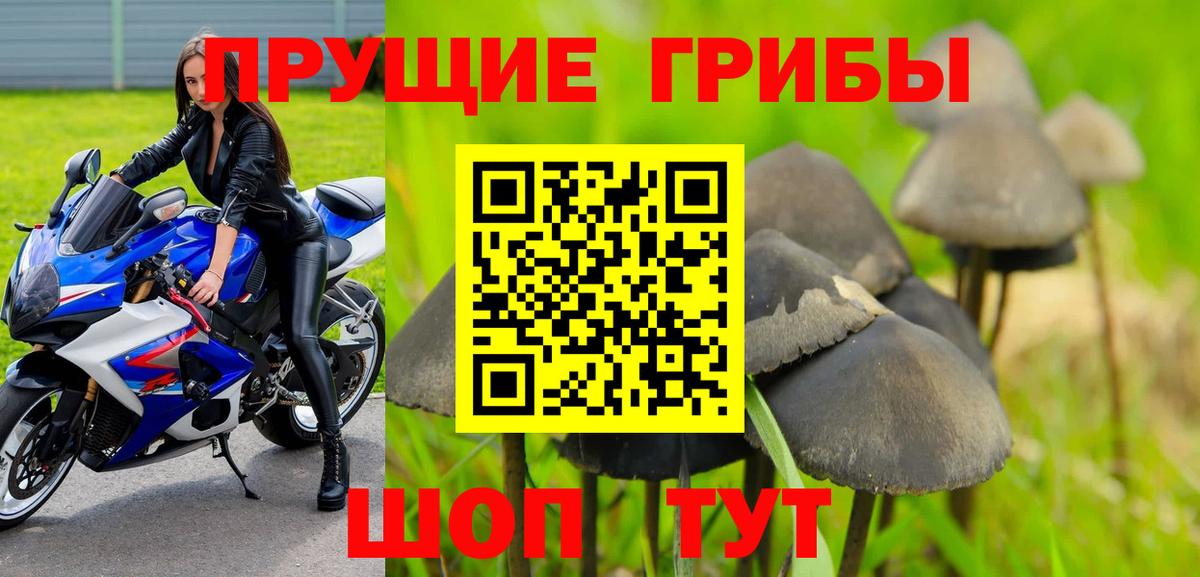Галлюциногенные грибы GOLDEN TEACHER Чехов